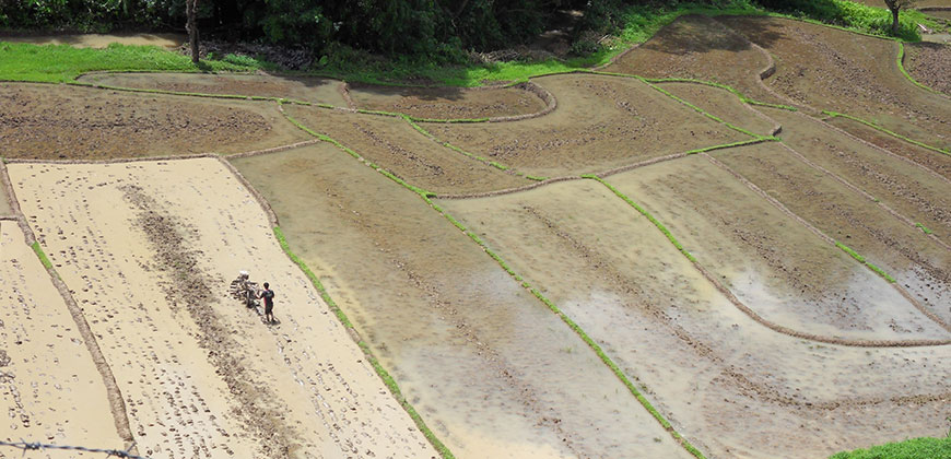 3 DAYS 2 NIGHTS TREK MAE HONG SORN AREA